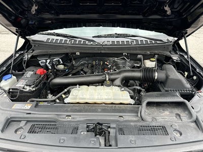 2024 Ford Expedition XLT