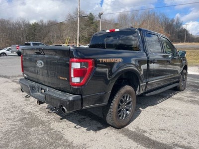2023 Ford F-150 Tremor