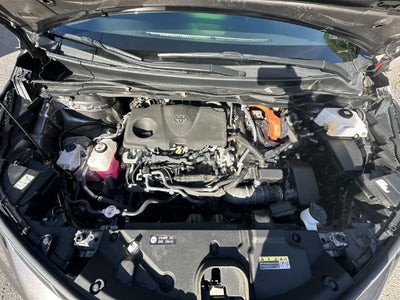 2022 Toyota Sienna XSE 7 Passenger