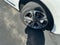 2026 Acura RDX Technology Package SH-AWD
