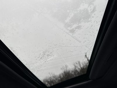 2023 Toyota Sienna XSE 7 Passenger